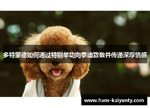 多特蒙德如何通过特别举动向泰迪致敬并传递深厚情感