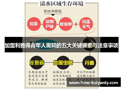 加盟利雅得青年人需知的五大关键要素与注意事项