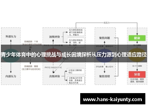 青少年体育中的心理挑战与成长困境探析从压力源到心理适应路径 青少年体育中的心理挑战与成长困境探析从压力源到心理适应路径