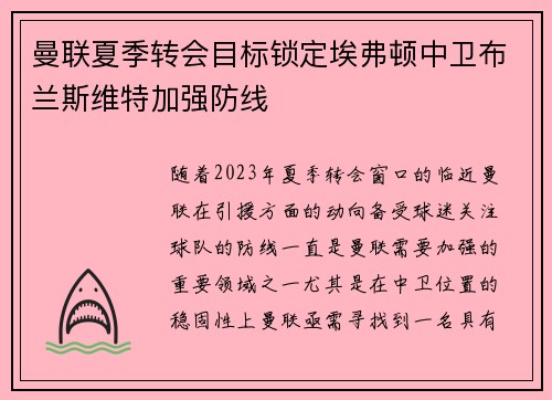 曼联夏季转会目标锁定埃弗顿中卫布兰斯维特加强防线