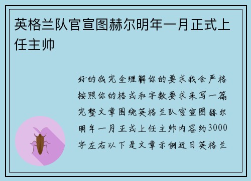 英格兰队官宣图赫尔明年一月正式上任主帅