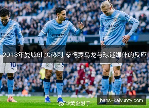 2013年曼城6比0热刺 桑德罗乌龙与球迷媒体的反应